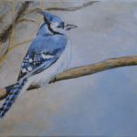 The Bluejay 2015  (private collection)